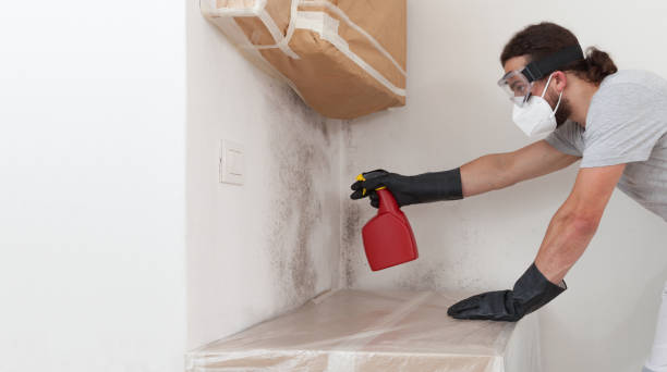 Professional Bathroom Mold Removal technician working in Thornton, CO